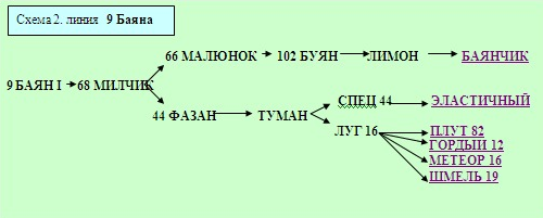 Линия 9. Баян