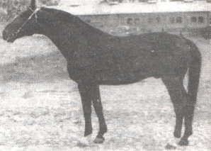 Валерик