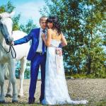 Предложение руки и сердце верхом на белой лошади