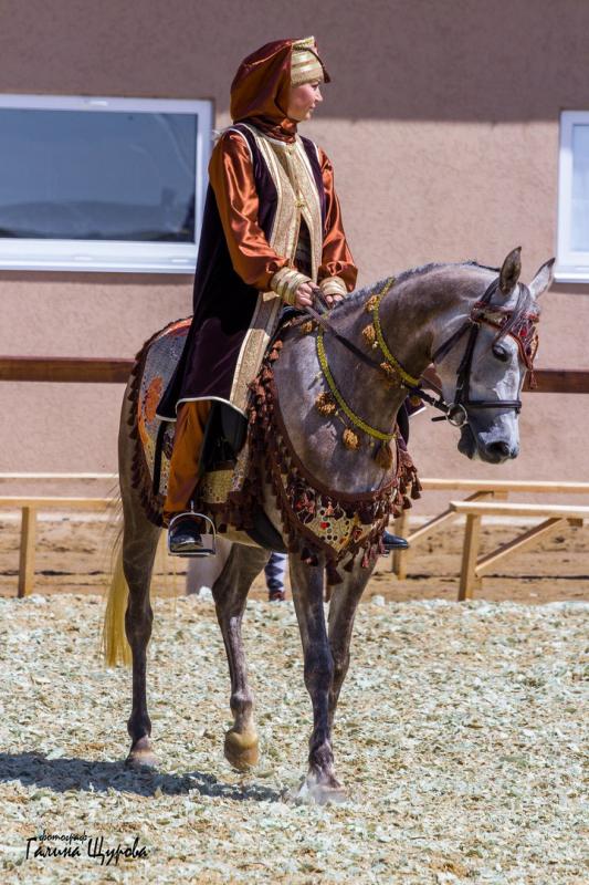 бавария маша важник фестиваль арабской лошади