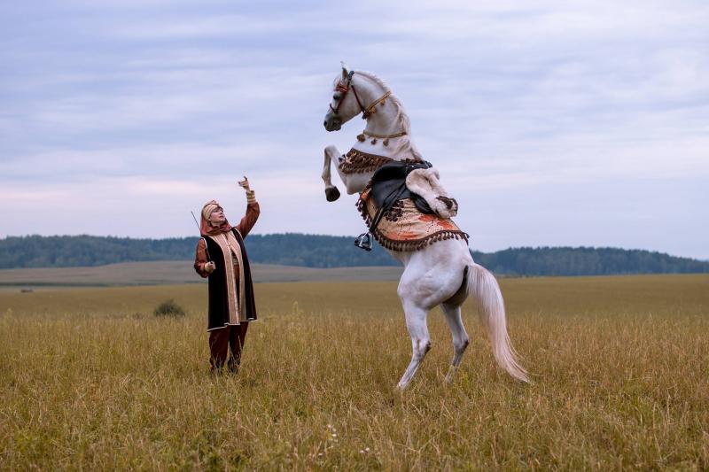 фото лошади собаки
